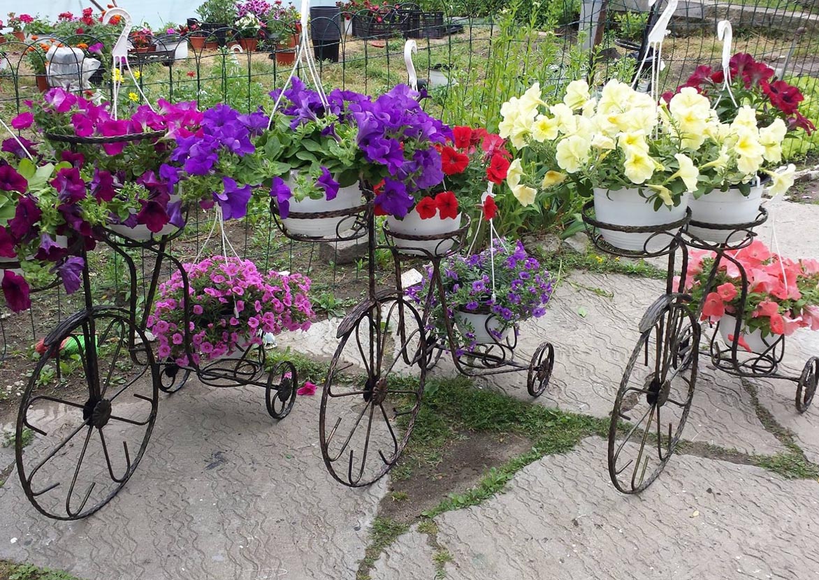 Servicii Fier Jardiniere